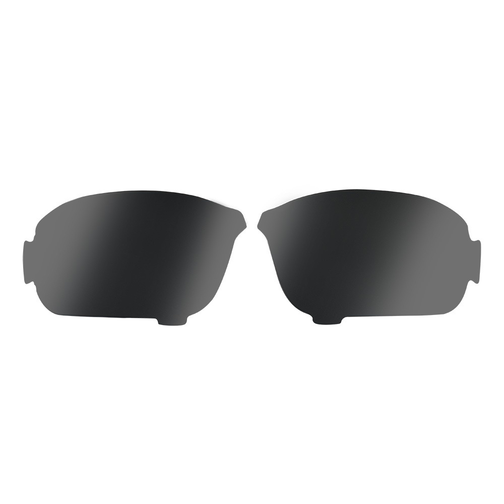 Oakley Replacement Lenses for Standard Issue Ballistic HNBL Glasses Plutonite Prizm Grey 103 564 003
